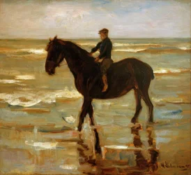 Niño montando a caballo en la playa – caballo grueso